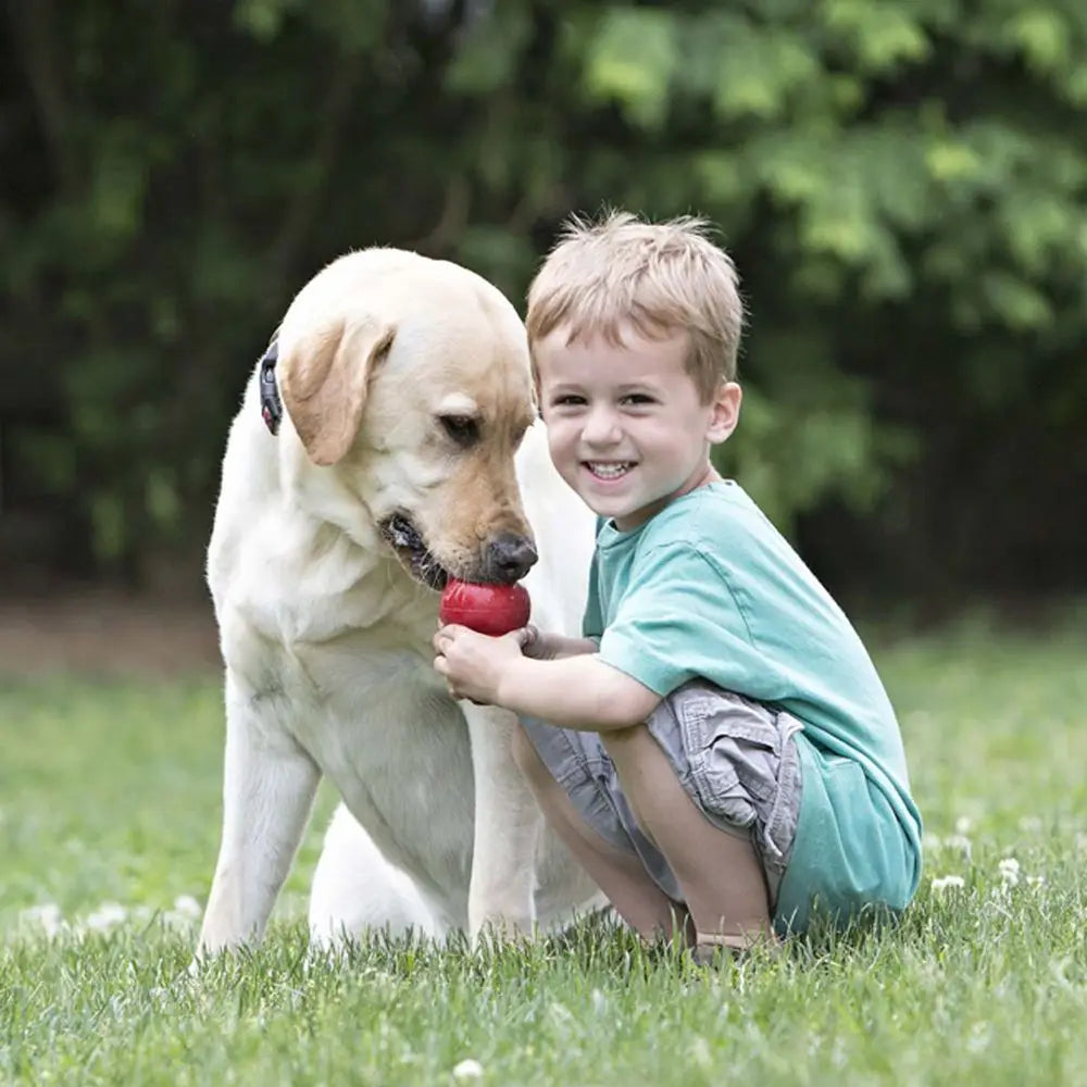 KONG Classic Dog Toy