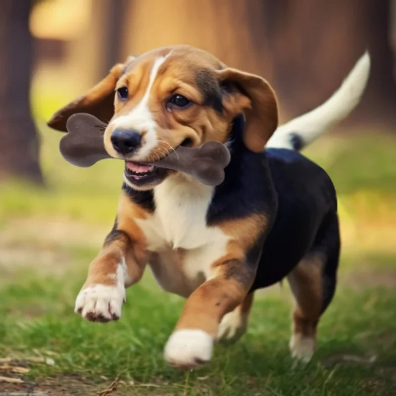 Natural Non-Toxic Dog Bone Chew Toy