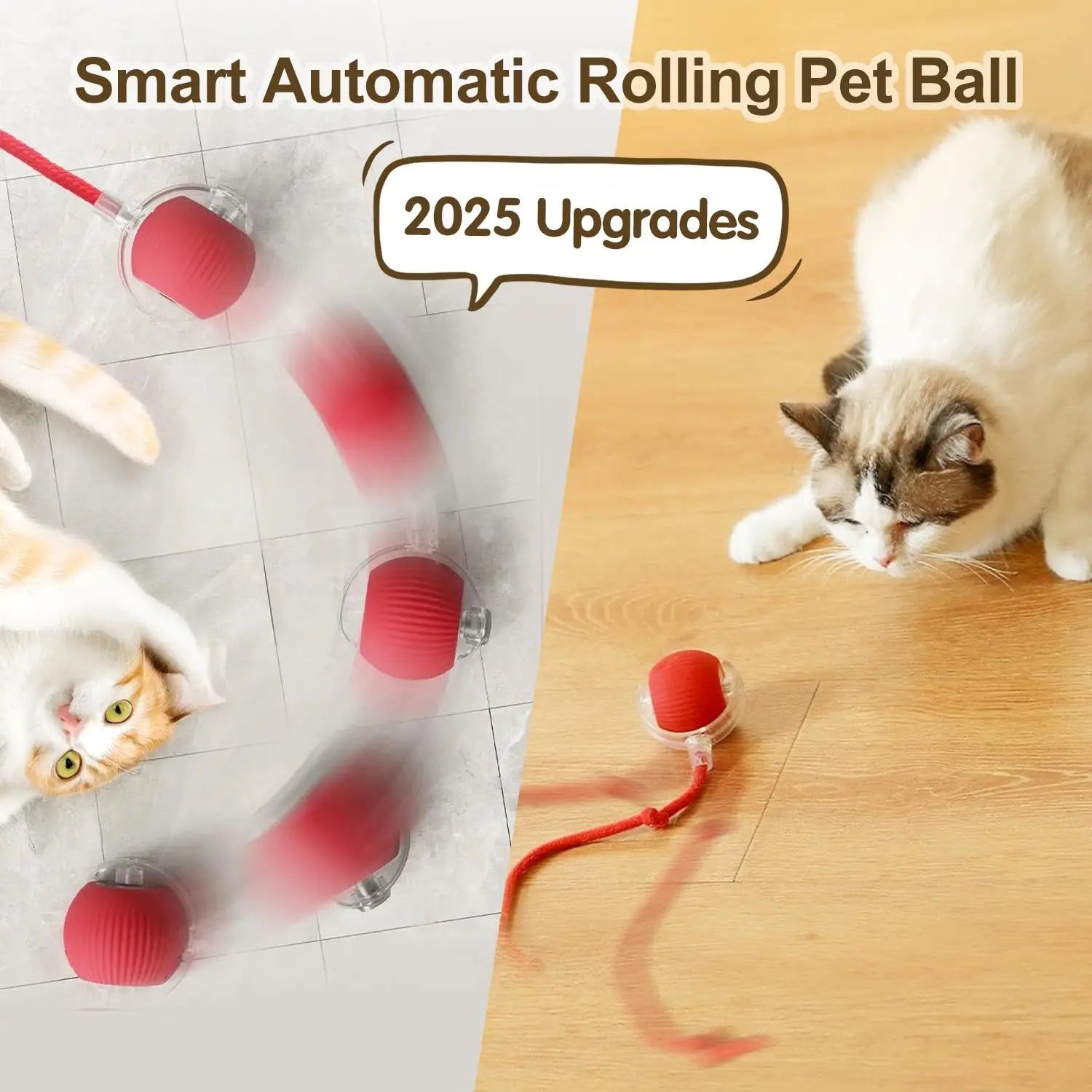 Cat Interactive Ball Toy