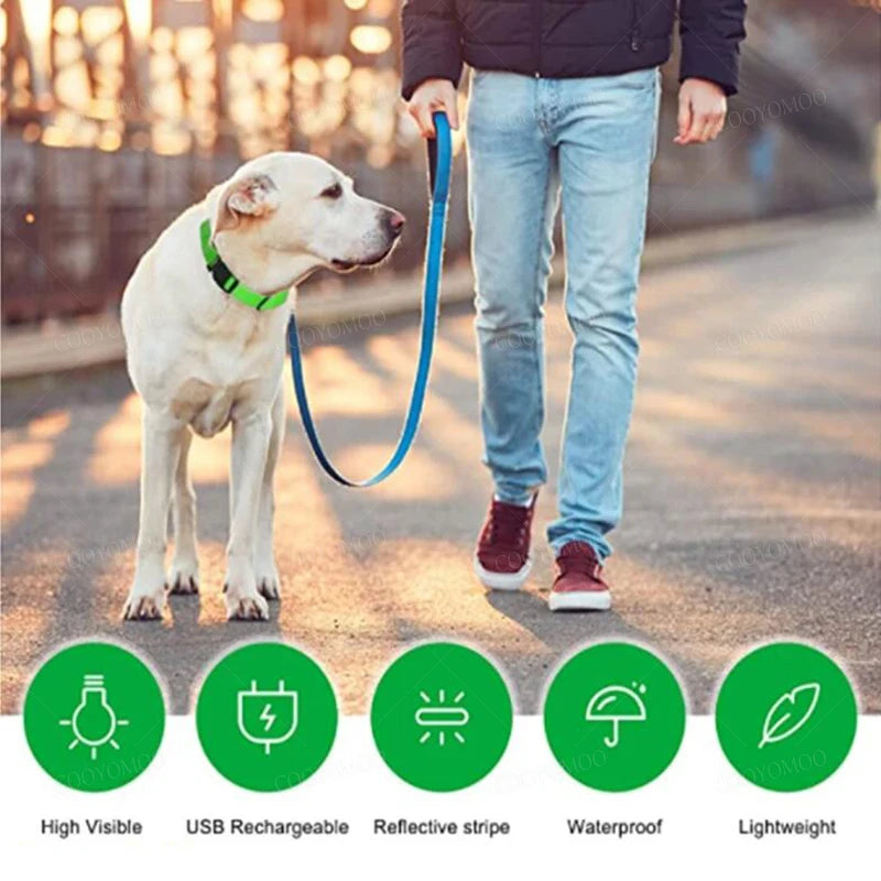 3 Modes Dog Luminous LED USB Charging Collar