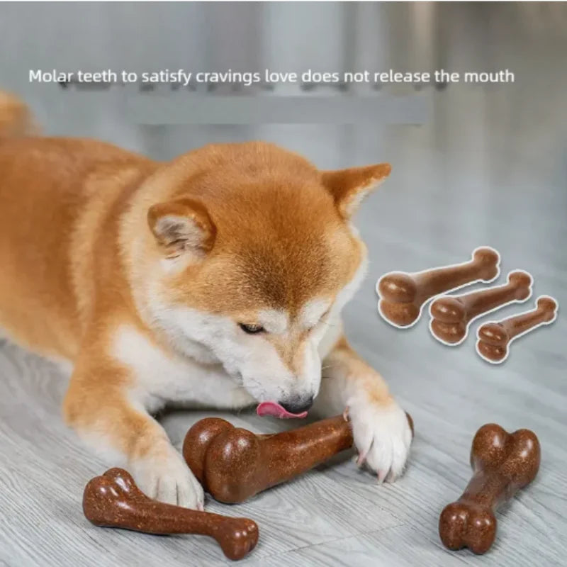 Natural Non-Toxic Dog Bone Chew Toy