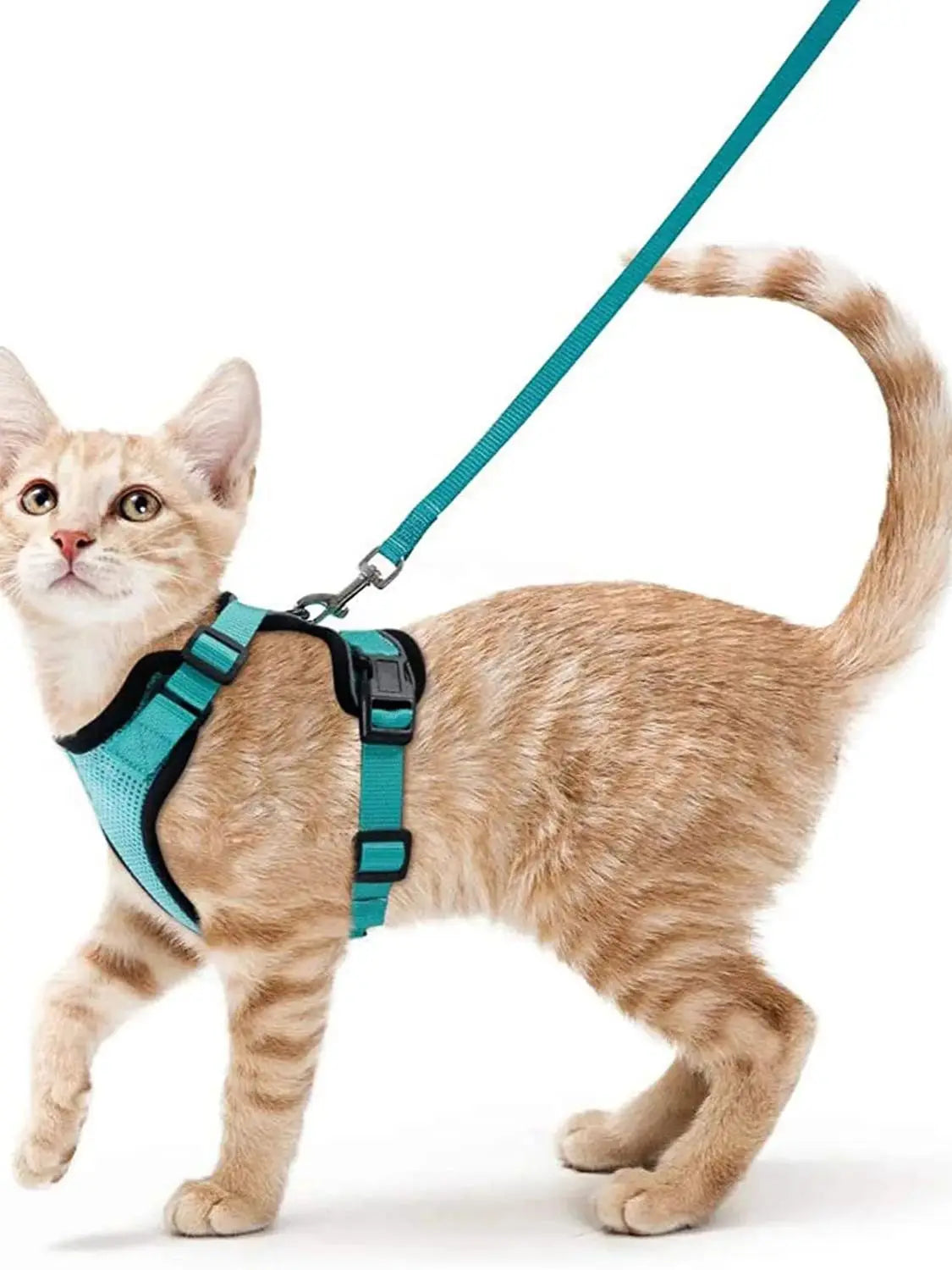 Cat Harness and Leash for Walking