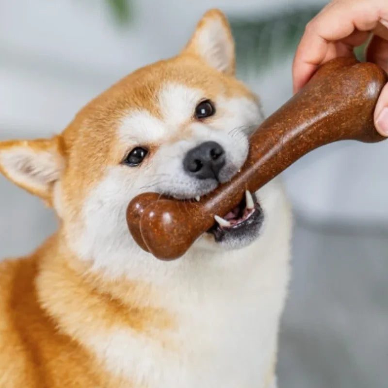 Natural Non-Toxic Dog Bone Chew Toy