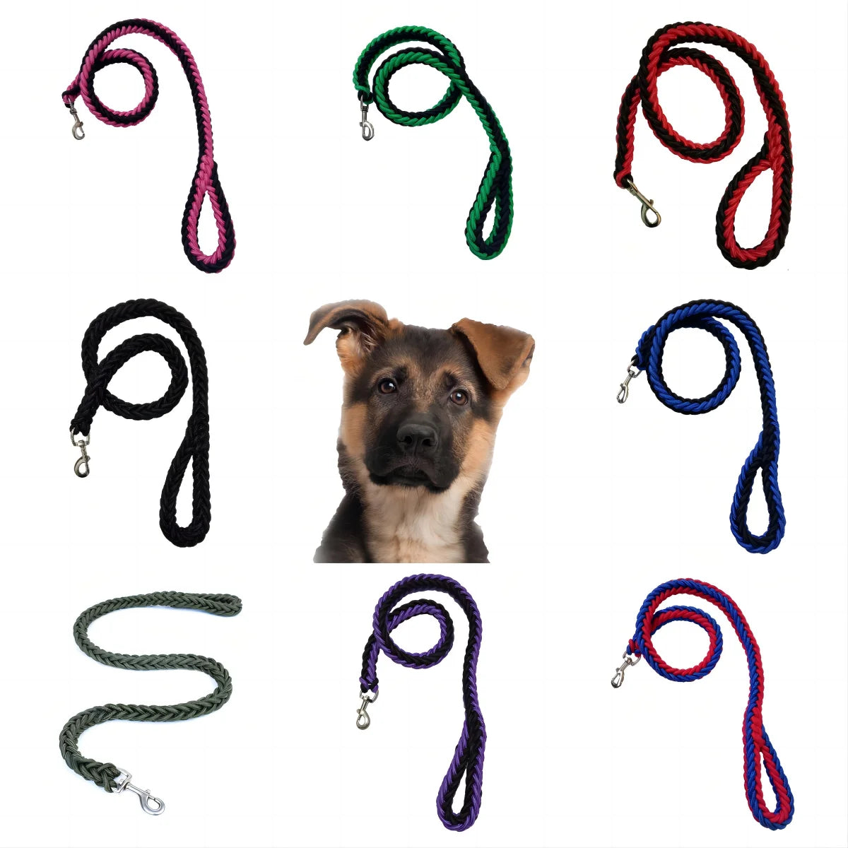 1.2M Nylon Dog Harness Leash