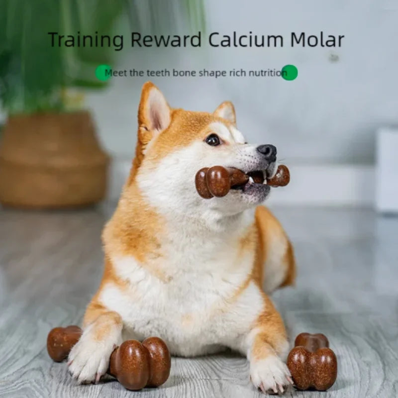 Natural Non-Toxic Dog Bone Chew Toy