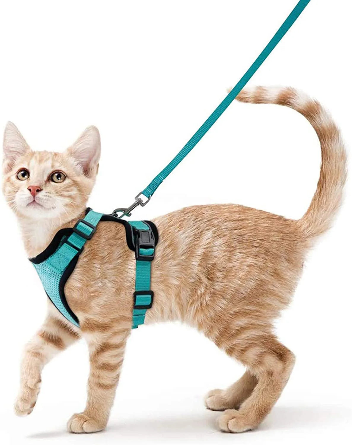 Cat Harness and Leash for Walking