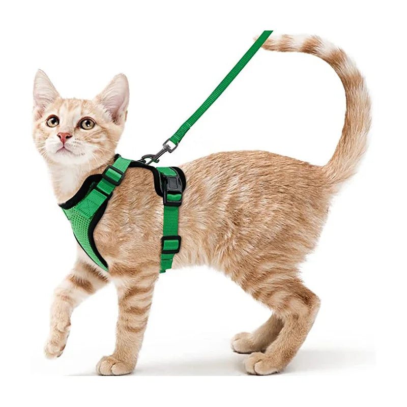 Cat Harness and Leash for Walking