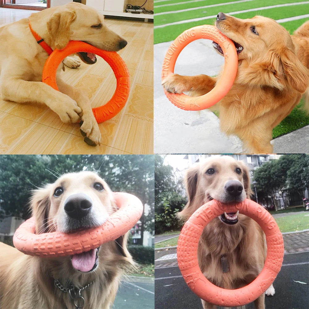 Indestructible Dog Ring – Chewing, Flying, Floating, Training & Fetch Toy