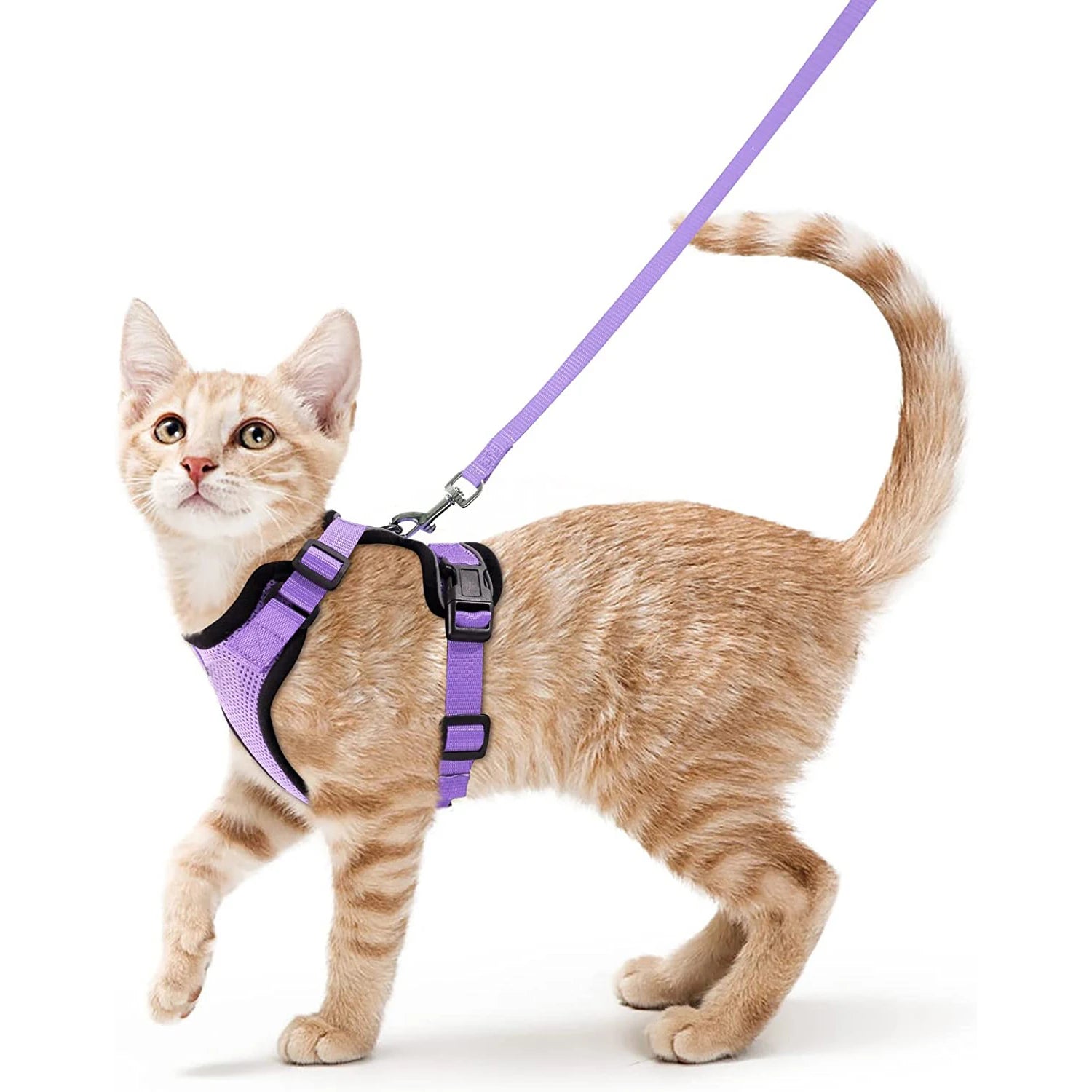 Cat Harness and Leash for Walking