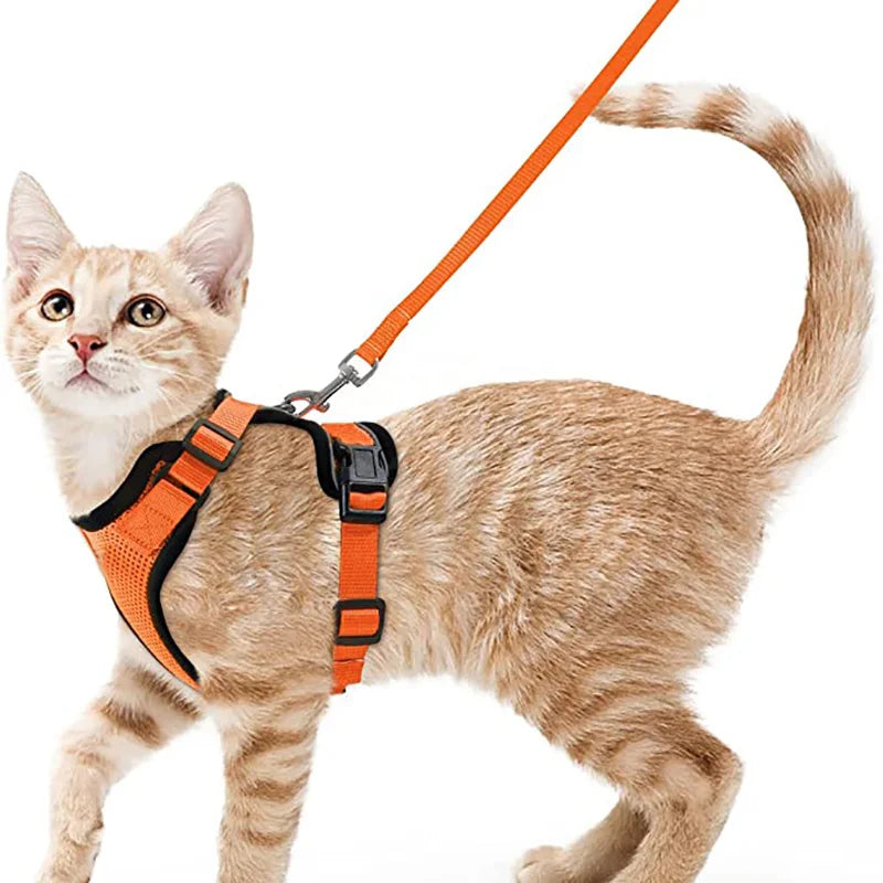 Cat Harness and Leash for Walking