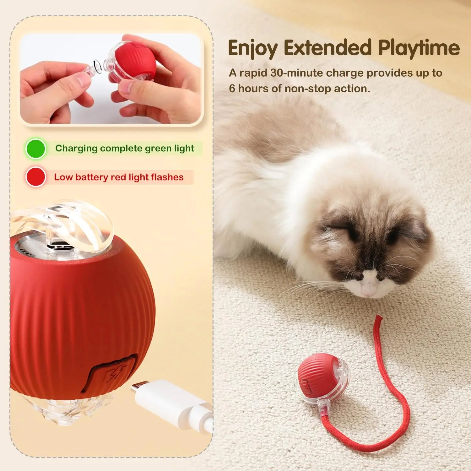 Cat Interactive Ball Toy