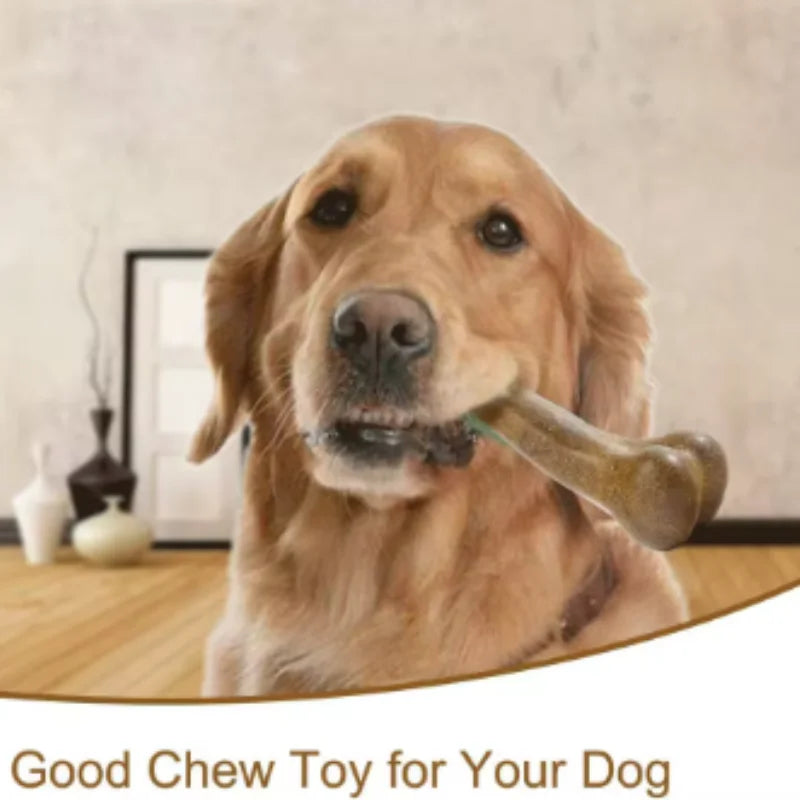 Natural Non-Toxic Dog Bone Chew Toy