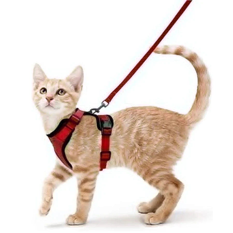 Cat Harness and Leash for Walking