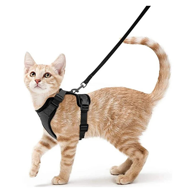 Cat Harness and Leash for Walking