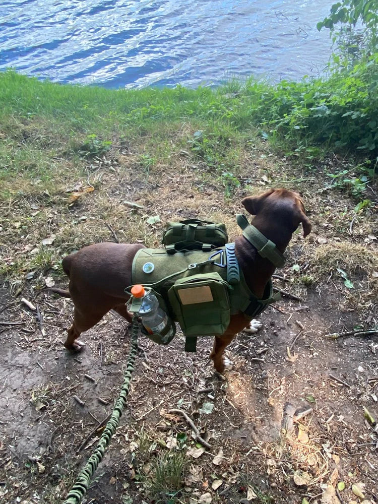 Tactical Dog Walking Vest Harness Collar Leash Molle Pouches