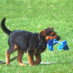 35" Indestructible Dog Rope Toy